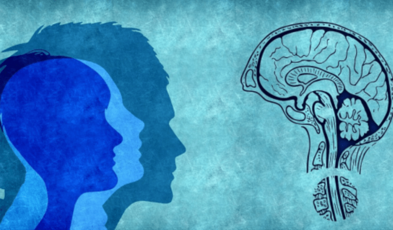 Understanding Brain Change and its Impact on Cognitive Function
