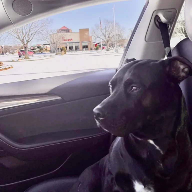 Ernie Cote with Stitch